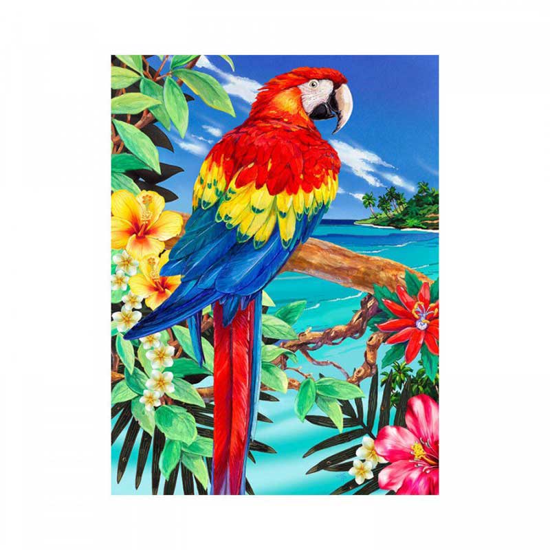 Set pictura pe numere, Royal Langnickel, 92 - Scarlet Macaw, 23 x 30 cm