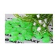Zola® Dekoratív Kő készlet, Foszforeszkáló, 100 db, 2-3 cm méretű, Zöld