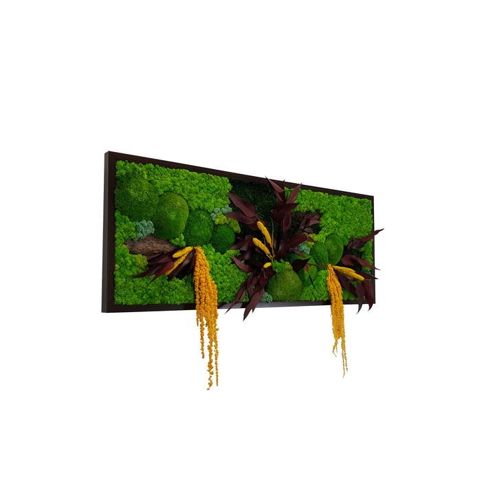 Tablou licheni, muschi bombati si plante naturale stabilizate, Jolie Arts, Model Amalonis, dimensiune 40 x 100 cm