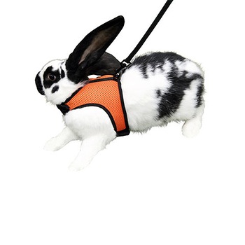 Ham + lesa pentru rozatoare, Kerbl Sport L Ham + lesa pentru rozatoare, Kerbl Sport L