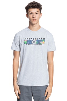QUIKSILVER, Tricou cu imprimeu logo Distant Shore, Gri deschis, S QUIKSILVER, Tricou cu imprimeu logo Distant Shore, Gri deschis, S