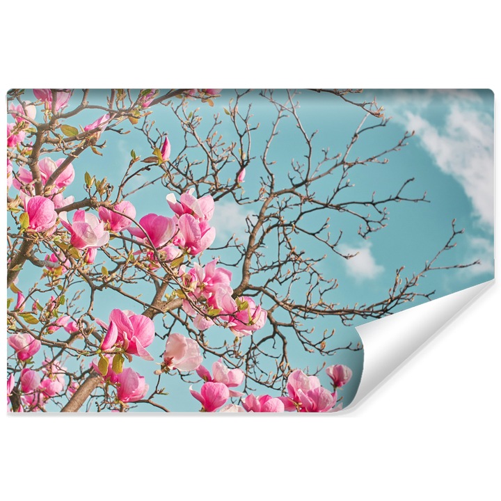 Fototapet pentru perete FLORI de magnolie primavara 405cm x 270cm Roz, Creative decor, Efect 3D, Cer, Natura, Lavabil