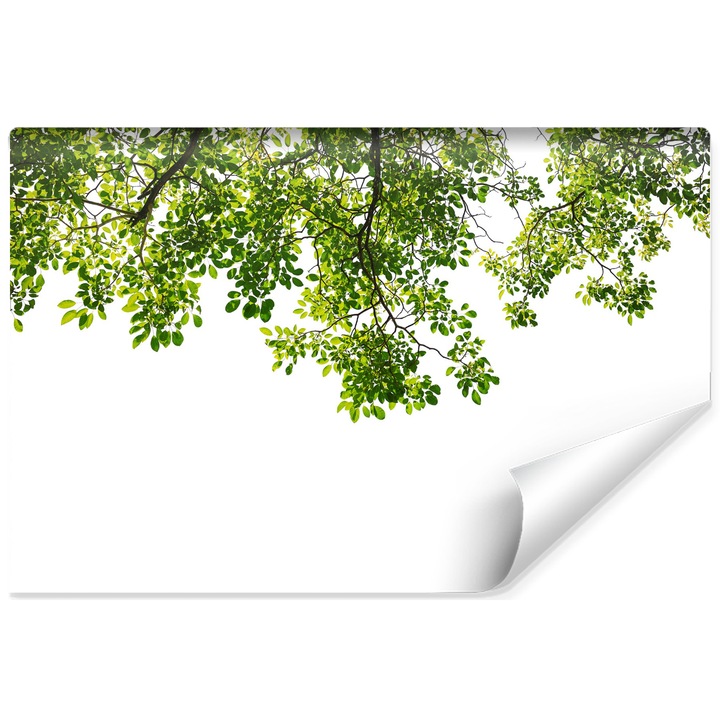 Fototapet PENTRU BUCATARIE frunze crengi natura 360cm x 240cm Peisaj 3D, Decorativ, Creative decor, Design modern, Minimalist, Dormitor