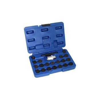 Set chei speciale, TECHMAN, pentru prezoane, suruburi antifurt pentru BMW, 22 piese Set chei speciale, TECHMAN, pentru prezoane, suruburi antifurt pentru BMW, 22 piese