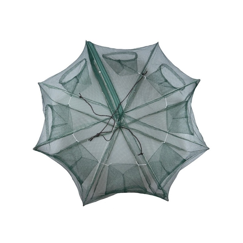 Halau tip varsa 8 Hakuyo