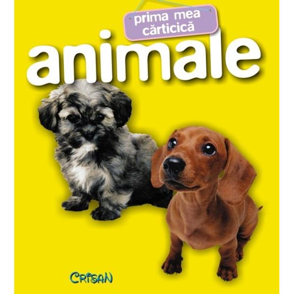 Prima mea carticica: Animale