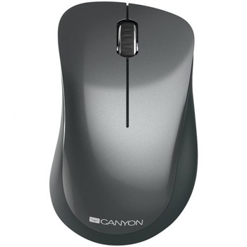 Mouse optic Canyon CNE-CMSW11B, Wireless, Argintiu Mouse optic Canyon CNE-CMSW11B, Wireless, Argintiu