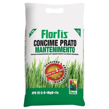 Fertilizant Maintenance NPK 19-5-8, 4 kg Fertilizant Maintenance NPK 19-5-8, 4 kg