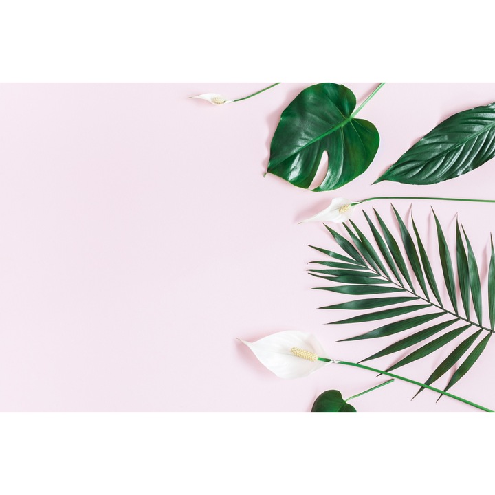 Fototapet pentru living plante frunze crini 315cm x 210cm Decor 3D, Design modern, Decorative, Natura, Dormitor, Usor de curatat