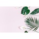Fototapet pentru living plante frunze crini 315cm x 210cm Decor 3D, Design modern, Decorative, Natura, Dormitor, Usor de curatat