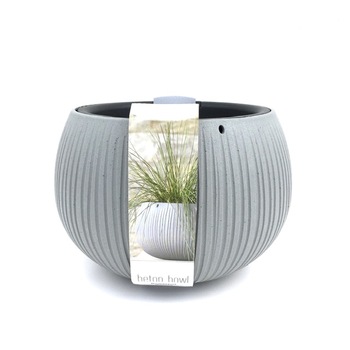Ghiveci plastic beton bowl - 422 U - inaltime de 16 cm - diametru 23 cm Ghiveci plastic beton bowl - 422 U - inaltime de 16 cm - diametru 23 cm
