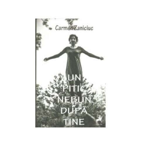 Un pitic nebun dupa tine, Carmen Zaniciuc
