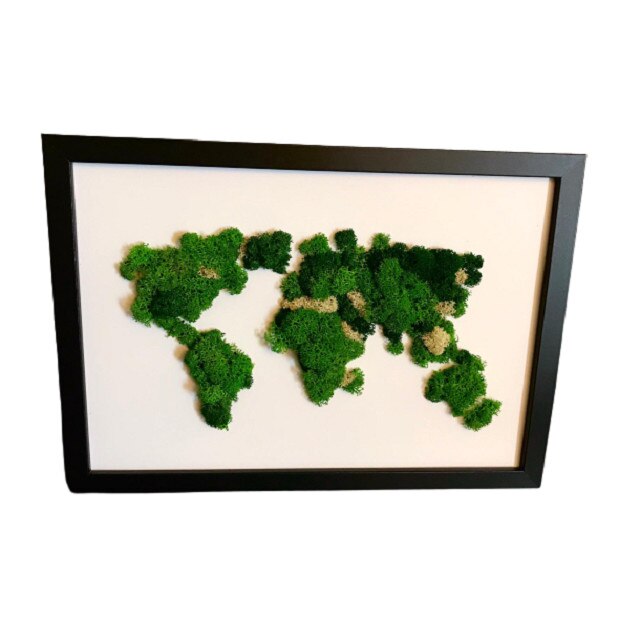 Tablou licheni verzi stabilizati harta lumii, format A4