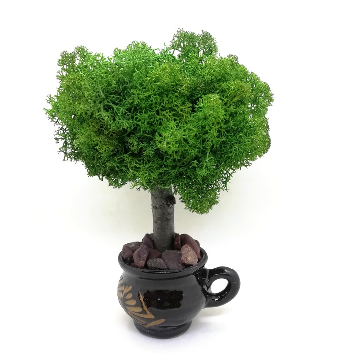 Aranjament cadou cu copacel handmade din licheni stabilizati , in cutie cadou