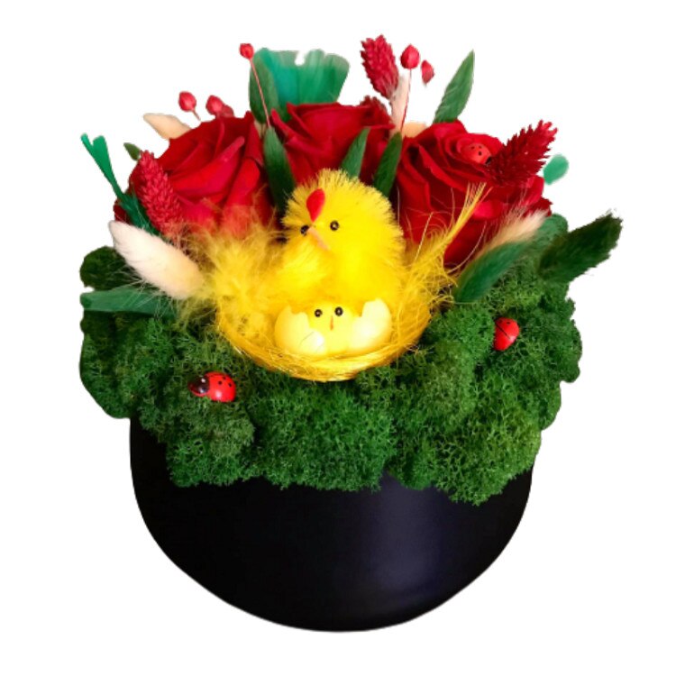 Aranjament trandafiri criogenati pe pat de licheni stabilizati verzi si plante uscate