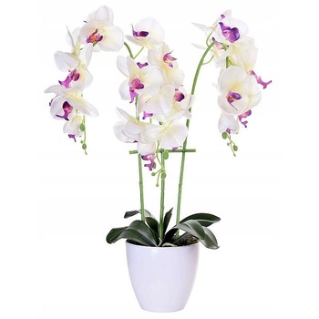 Orhidee artificiala decorativa, PROCART, 24 flori alb si roz, 65 cm, ghiveci Orhidee artificiala decorativa, PROCART, 24 flori alb si roz, 65 cm, ghiveci