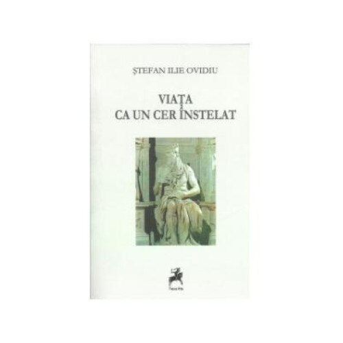 Viata ca un cer instelat, Stefan Ilie Ovidiu