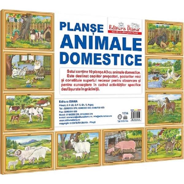 Animale domestice. Set 10 planse