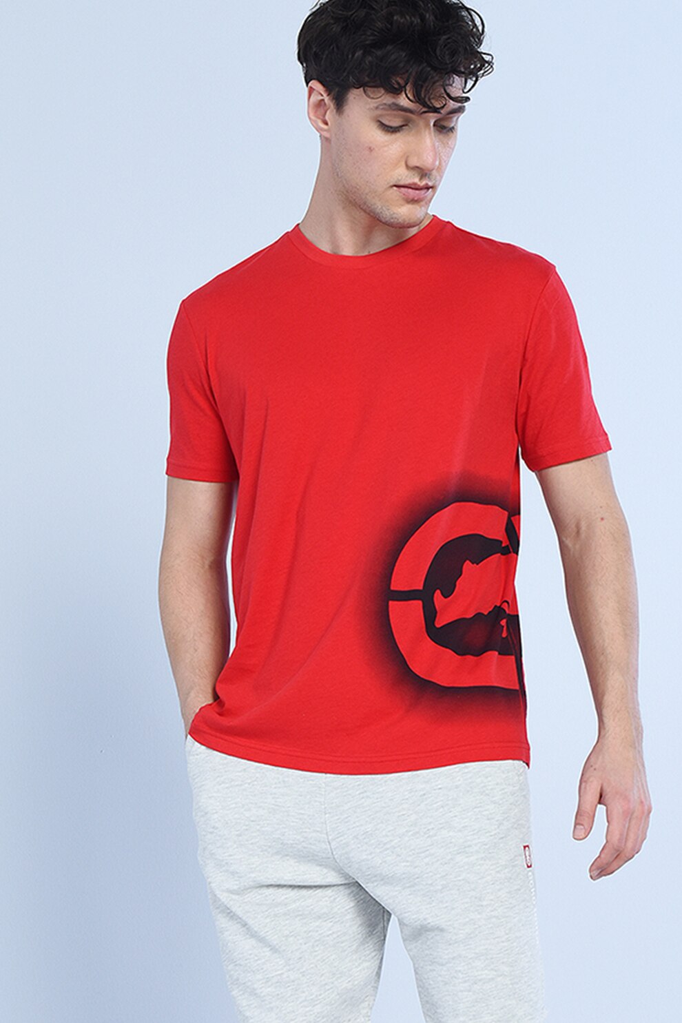 Ecko, Tricou cu imprimeu logo Travis, Rosu/Negru, S