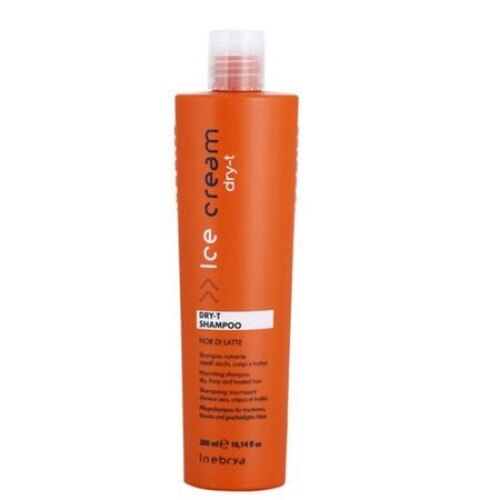 Sampon pentru parul uscat su deteriorat, Inebrya, Dry-T Shampoo, 300 ml