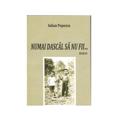 Numai dascal sa nu fii..., Iulian Popescu