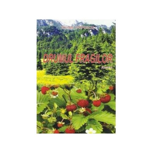 Drumul fragilor, Iulian Popescu