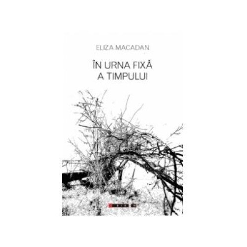 In urna fixa a timpului, Eliza MACADAN