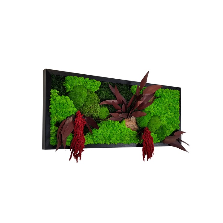 Tablou licheni, Jolie Arts, Model Amaranthus Rosu, dimensiune 30 x 70 cm, rama de culoare neagra