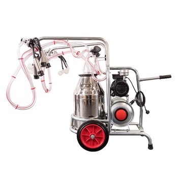 Aparat de muls mixt pentru vaci, oi si capre, cu 3 posturi si 1 bidon inox 40 litri Aparat de muls mixt pentru vaci, oi si capre, cu 3 posturi si 1 bidon inox 40 litri