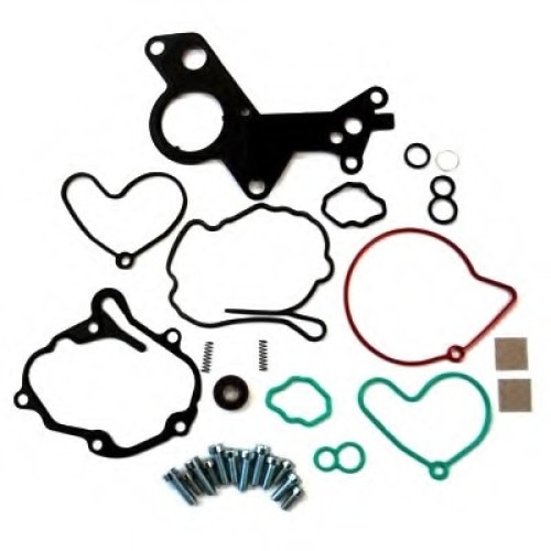 Set reparatie pompa vaccum AUDI A2, A3, A4, A6