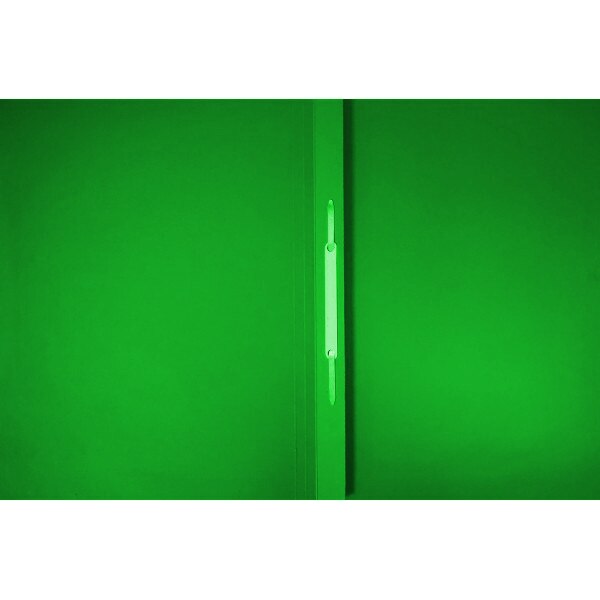 Set 25 Dosare sina color,Exacompta Verzi