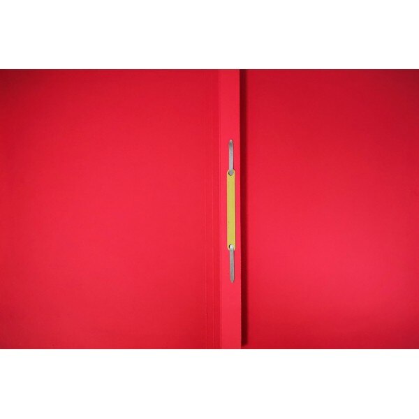 Set 20 Dosare sina color,Exacompta Rosii