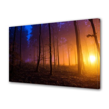 Tablou Canvas Premium ArtDeco, Soare ascuns dupa copacii misteriosi, Panza pe cadru de lemn, Decoratiuni Moderne pentru Casa, 30 x 45 cm Tablou Canvas Premium ArtDeco, Soare ascuns dupa copacii misteriosi, Panza pe cadru de lemn, Decoratiuni Moderne pentru Casa, 30 x 45 cm