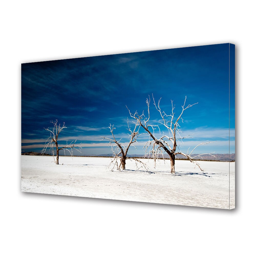 Tablou Canvas Premium ArtDeco, Copaci inghetati sub cerul albastru, Panza pe cadru de lemn, Decoratiuni Moderne pentru Casa, 80 x 120 cm