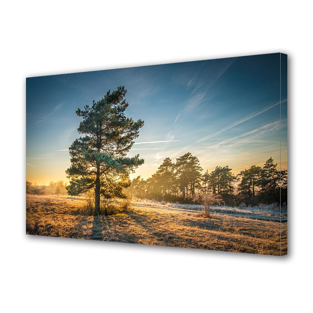 Tablou Canvas Premium ArtDeco, Raze calde in natura, Panza pe cadru de lemn, Decoratiuni Moderne pentru Casa, 30 x 45 cm