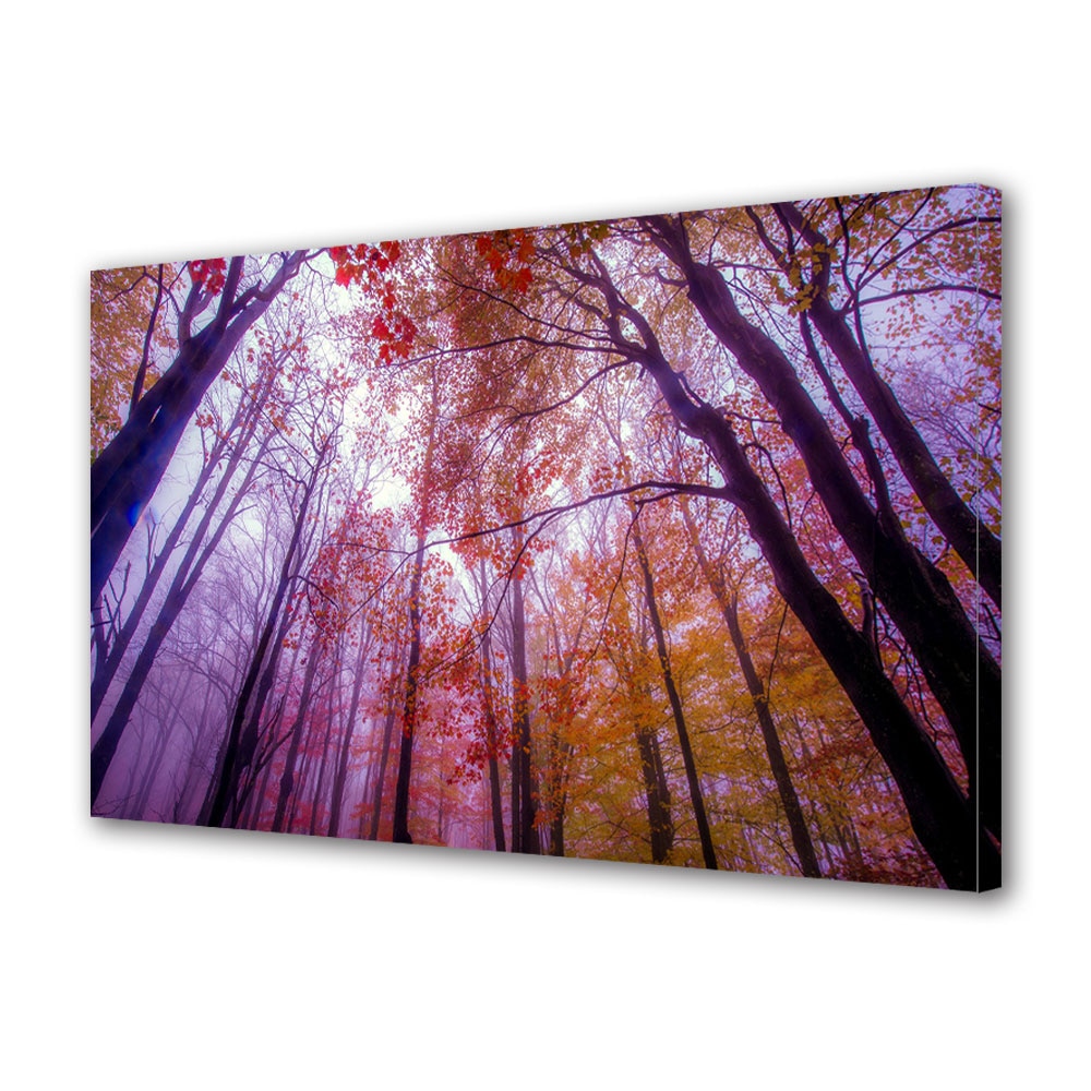 Tablou Canvas Premium ArtDeco, Lumina violet in padurea tomnatica, Panza pe cadru de lemn, Decoratiuni Moderne pentru Casa, 80 x 120 cm