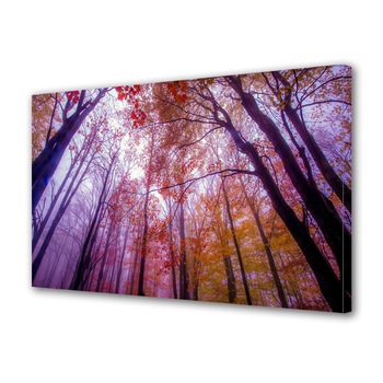 Tablou Canvas Premium ArtDeco, Lumina violet in padurea tomnatica, Panza pe cadru de lemn, Decoratiuni Moderne pentru Casa, 30 x 45 cm Tablou Canvas Premium ArtDeco, Lumina violet in padurea tomnatica, Panza pe cadru de lemn, Decoratiuni Moderne pentru Casa, 30 x 45 cm