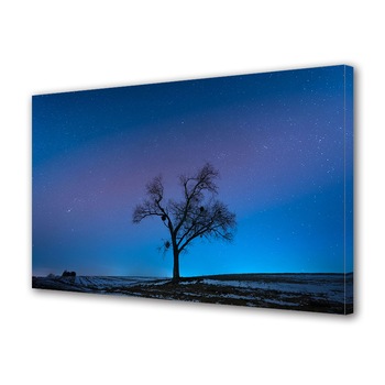 Tablou Canvas Premium ArtDeco, Cer plin de stele si umbra de copac, Panza pe cadru de lemn, Decoratiuni Moderne pentru Casa, 20 x 30 cm Tablou Canvas Premium ArtDeco, Cer plin de stele si umbra de copac, Panza pe cadru de lemn, Decoratiuni Moderne pentru Casa, 20 x 30 cm