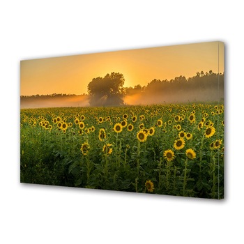 Tablou Canvas Premium ArtDeco, Camp de floarea-soarelui la apus, Panza pe cadru de lemn, Decoratiuni Moderne pentru Casa, 40 x 60 cm Tablou Canvas Premium ArtDeco, Camp de floarea-soarelui la apus, Panza pe cadru de lemn, Decoratiuni Moderne pentru Casa, 40 x 60 cm
