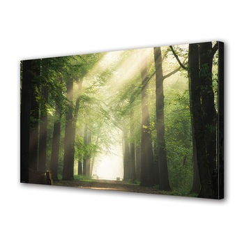 Tablou Canvas Premium ArtDeco, Raze stralucind printre ramuri, Panza pe cadru de lemn, Decoratiuni Moderne pentru Casa, 30 x 45 cm Tablou Canvas Premium ArtDeco, Raze stralucind printre ramuri, Panza pe cadru de lemn, Decoratiuni Moderne pentru Casa, 30 x 45 cm