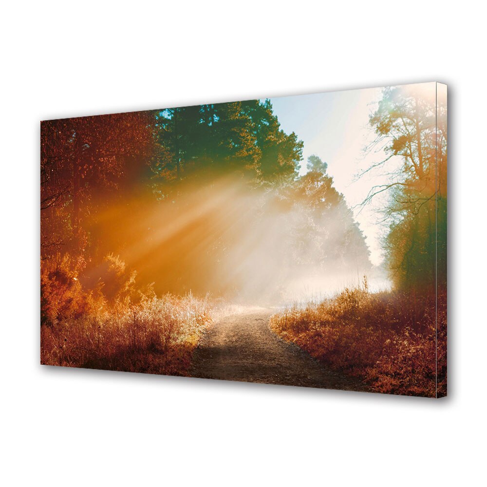 Tablou Canvas Premium ArtDeco, Poteca de toamna in razele soarelui, Panza pe cadru de lemn, Decoratiuni Moderne pentru Casa, 30 x 45 cm