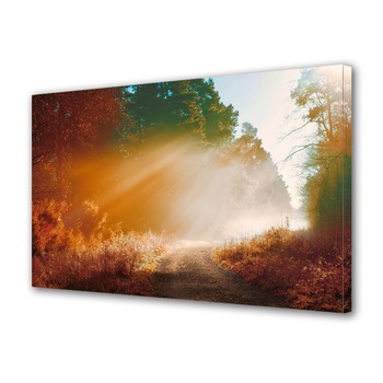Tablou Canvas Premium ArtDeco, Poteca de toamna in razele soarelui, Panza pe cadru de lemn, Decoratiuni Moderne pentru Casa, 40 x 60 cm Tablou Canvas Premium ArtDeco, Poteca de toamna in razele soarelui, Panza pe cadru de lemn, Decoratiuni Moderne pentru Casa, 40 x 60 cm