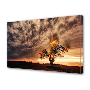 Tablou Canvas Premium ArtDeco, Foc, Panza pe cadru de lemn, Decoratiuni Moderne pentru Casa, 70 x 100 cm Tablou Canvas Premium ArtDeco, Foc, Panza pe cadru de lemn, Decoratiuni Moderne pentru Casa, 70 x 100 cm