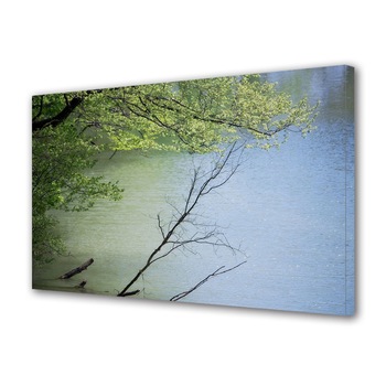 Tablou Canvas Premium ArtDeco, Arbust pe apa, Panza pe cadru de lemn, Decoratiuni Moderne pentru Casa, 40 x 60 cm Tablou Canvas Premium ArtDeco, Arbust pe apa, Panza pe cadru de lemn, Decoratiuni Moderne pentru Casa, 40 x 60 cm