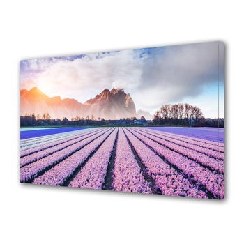 Tablou Canvas Premium ArtDeco, Campie cu flori roz la apus, Panza pe cadru de lemn, Decoratiuni Moderne pentru Casa, 50 x 70 cm Tablou Canvas Premium ArtDeco, Campie cu flori roz la apus, Panza pe cadru de lemn, Decoratiuni Moderne pentru Casa, 50 x 70 cm