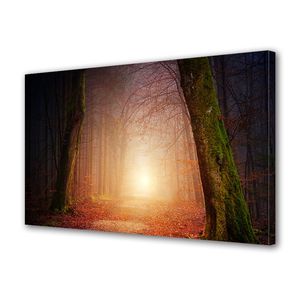 Tablou Canvas Premium ArtDeco, Lumina calda a soarelui in padurea tomnatica, Panza pe cadru de lemn, Decoratiuni Moderne pentru Casa, 80 x 120 cm