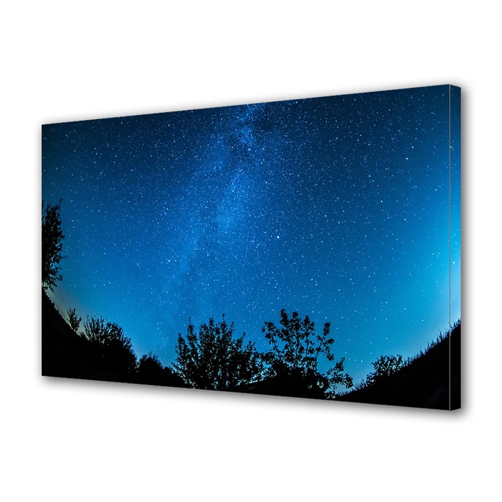 Tablou Canvas Fosforescent, Luminos in Intuneric, Premium, Art Star, Sclipirea noptii, Peisaje, Panza pe cadru de lemn, Decoratiuni Moderne pentru Casa, 70 x 100 cm