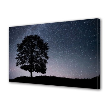 Tablou Canvas Premium ArtDeco, Silueta de copac sub cerul instelat, Panza pe cadru de lemn, Decoratiuni Moderne pentru Casa, 50 x 70 cm Tablou Canvas Premium ArtDeco, Silueta de copac sub cerul instelat, Panza pe cadru de lemn, Decoratiuni Moderne pentru Casa, 50 x 70 cm