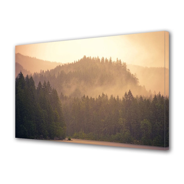 Tablou Canvas Fosforescent, Luminos in Intuneric, Premium, Art Star, Padure de brazi incetosata, Peisaje, Panza pe cadru de lemn, Decoratiuni Moderne pentru Casa, 20 x 30 cm