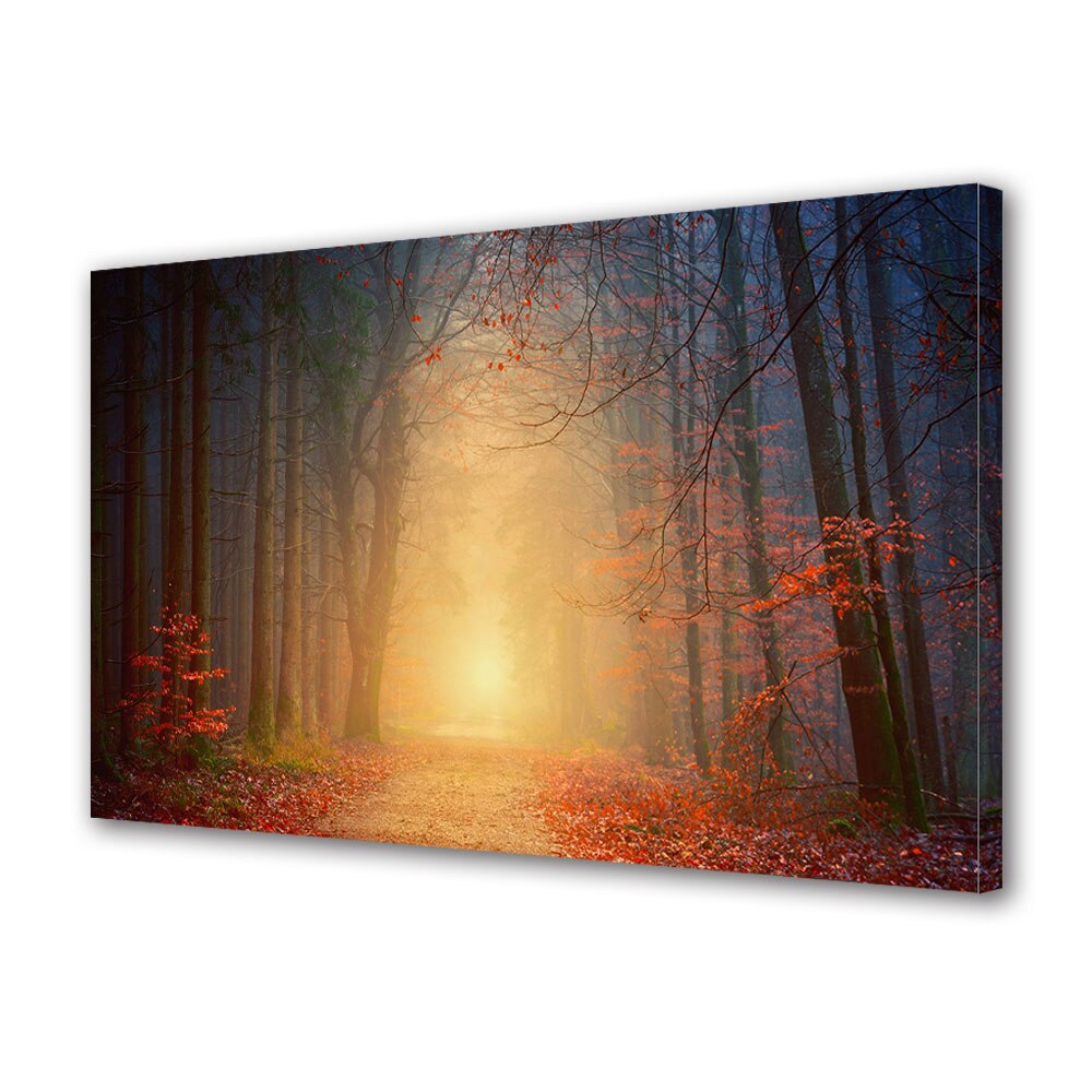 Tablou Canvas Premium ArtDeco, Lumina de la capatul tunelului de copaci, Panza pe cadru de lemn, Decoratiuni Moderne pentru Casa, 20 x 30 cm